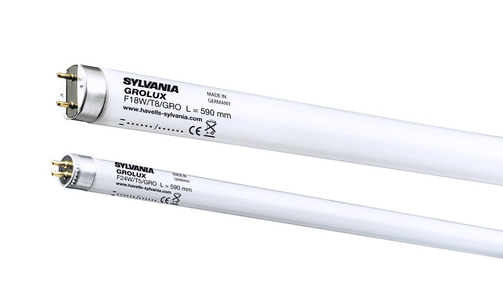 What are the differences between LED tubes T5 and T8? - UPSHINE